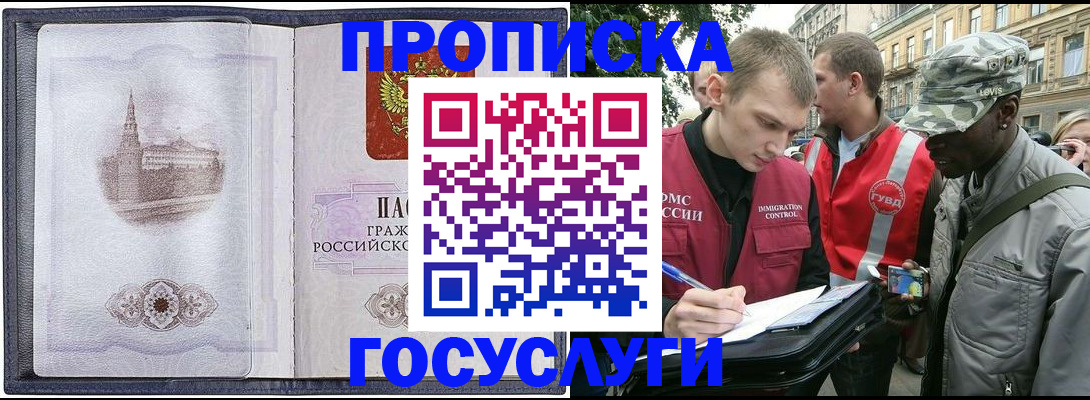 прописка 2025 в Курчалом